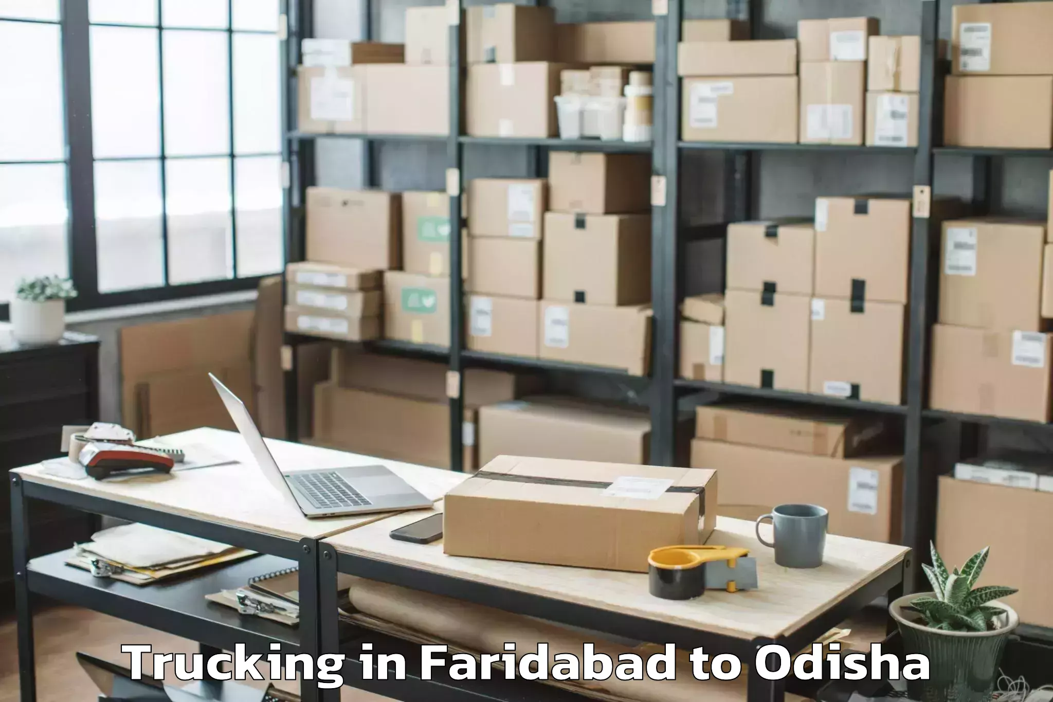 Quality Faridabad to Digapahandi Trucking